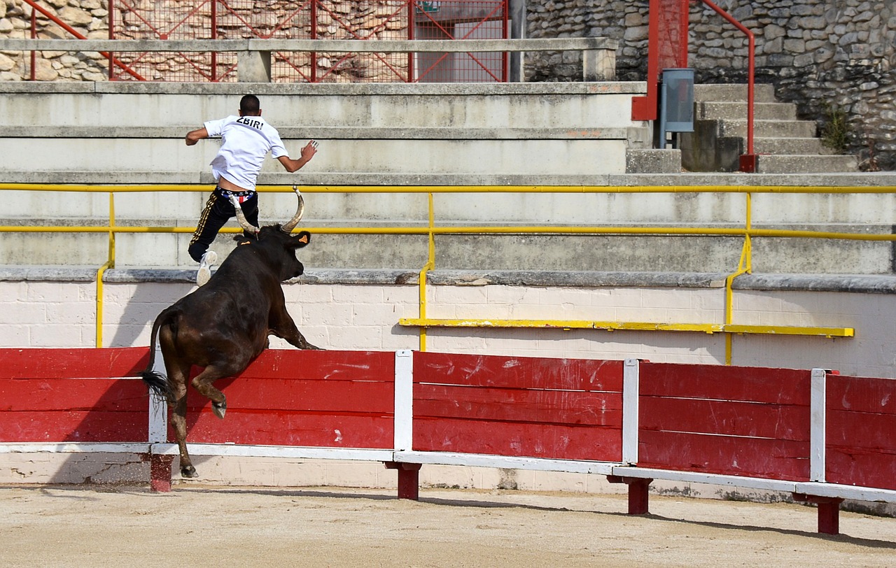 勞內和馬赫