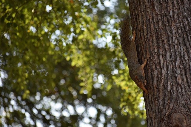 自己的努力 自己的努力